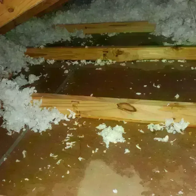 Attic Water Damage in Unalaska, AK